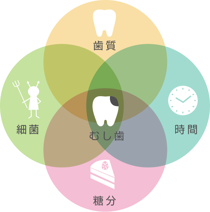 むし歯の発生要因